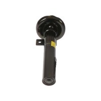 Shock Absorber gas pressure TRISCAN IAM-Expertise for...