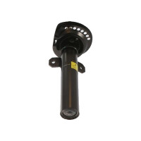 Shock Absorber Gas pressure TRISCAN IAM-Expertise for...