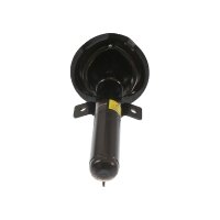 Shock Absorber gas pressure strut TRISCAN IAM-Expertise...