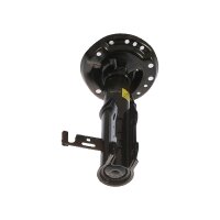 Shock Absorber gas pressure strut TRISCAN IAM-Expertise...