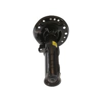 Shock Absorber gas pressure strut TRISCAN IAM-Expertise...