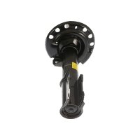 Shock Absorber Gas pressure strut TRISCAN IAM-Expertise...