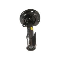 Shock Absorber gas pressure strut TRISCAN IAM-Expertise...