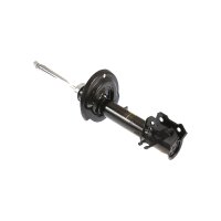 Shock Absorber gas pressure strut TRISCAN IAM-Expertise...