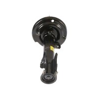 Shock Absorber gas pressure strut TRISCAN IAM-Expertise...
