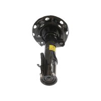 Shock Absorber gas pressure strut TRISCAN IAM-Expertise...