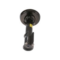 Shock Absorber gas pressure strut TRISCAN IAM-Expertise...