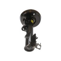 Shock Absorber Gas pressure strut TRISCAN IAM-Expertise...