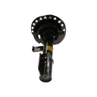 Shock Absorber gas pressure strut TRISCAN IAM-Expertise...