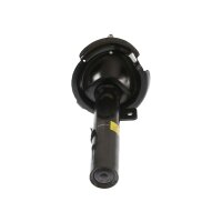 Shock Absorber gas pressure strut TRISCAN IAM-Expertise...