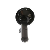 Shock Absorber gas pressure TRISCAN IAM-Expertise for...