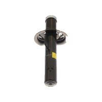 Shock Absorber gas pressure TRISCAN IAM-Expertise for...