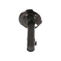 Shock Absorber gas pressure TRISCAN IAM-Expertise for...