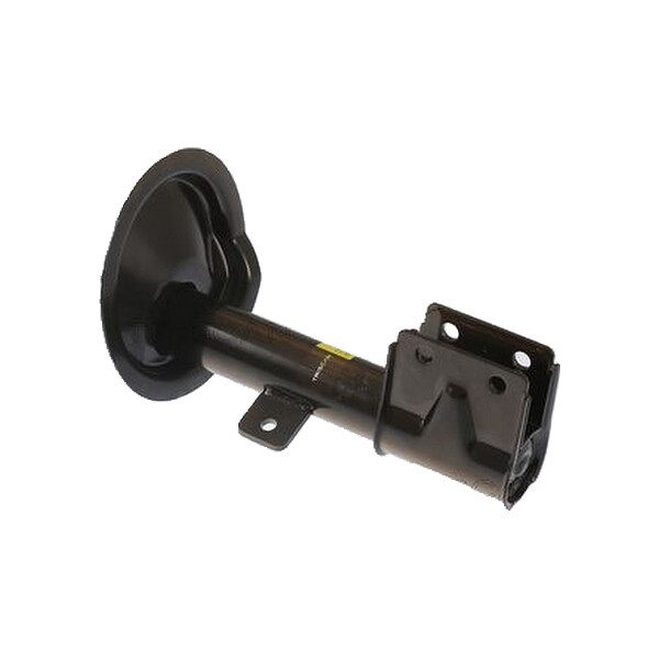 Shock Absorber gas pressure strut TRISCAN IAM-Expertise for e.g. CITROËN C4