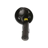 Shock Absorber gas pressure TRISCAN IAM-Expertise for...