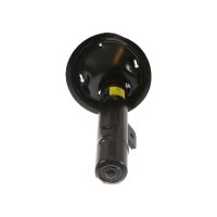 Shock Absorber gas pressure TRISCAN IAM-Expertise for...