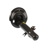 Shock Absorber gas pressure TRISCAN IAM-Expertise for...