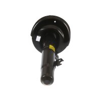 Shock Absorber gas pressure TRISCAN IAM-Expertise for...