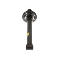 Shock Absorber gas pressure strut TRISCAN IAM-Expertise...