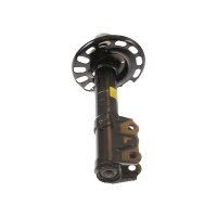 Shock Absorber gas pressure strut TRISCAN IAM-Expertise...