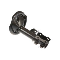 Shock Absorber gas pressure TRISCAN IAM-Expertise for...