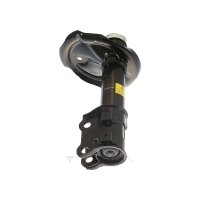 Shock Absorber gas pressure TRISCAN IAM-Expertise for...