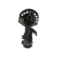 Shock Absorber gas pressure TRISCAN IAM-Expertise for...