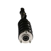 Shock Absorber gas pressure strut TRISCAN IAM-Expertise...