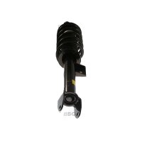 Shock Absorber gas pressure strut TRISCAN IAM-Expertise suitable for TESLA MODEL
