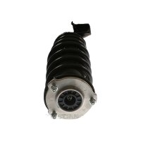 Shock Absorber gas pressure strut TRISCAN IAM-Expertise...