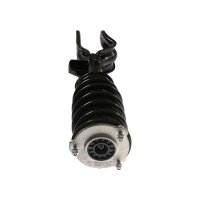 Shock Absorber gas pressure strut TRISCAN IAM-Expertise...