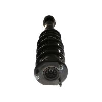 Shock Absorber gas pressure strut TRISCAN IAM-Expertise...