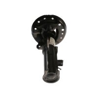 Shock Absorber gas pressure strut TRISCAN IAM-Expertise...