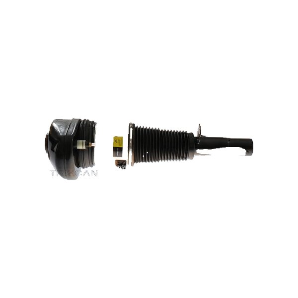 Air Suspension Strut TRISCAN Aftermarket-Expertise fits BMW X5
