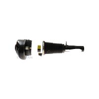 Air Suspension Strut TRISCAN Aftermarket-Expertise fits...