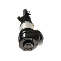 Air Suspension Strut TRISCAN Aftermarket-Expertise fits...