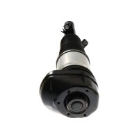 Air Suspension Strut TRISCAN Aftermarket-Expertise fits...