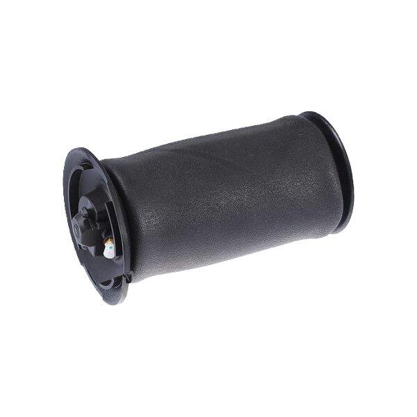 Air Spring Suspension TRISCAN Aftermarket-Expertise fits BMW 5 Series