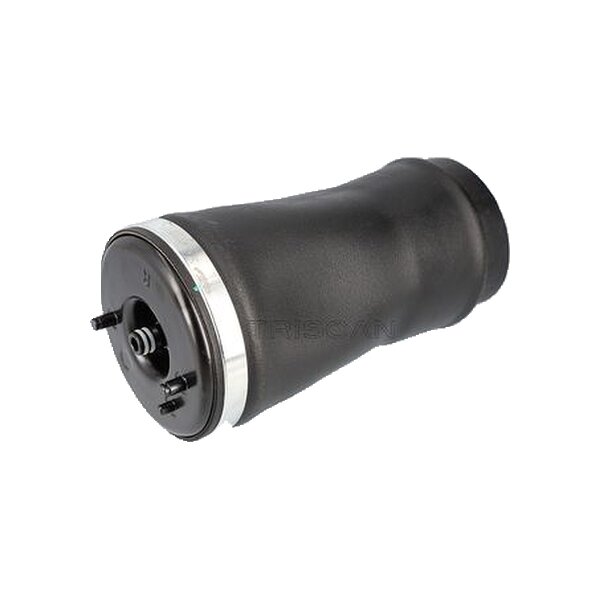 Air Spring Suspension TRISCAN Aftermarket-Expertise fits BMW X5