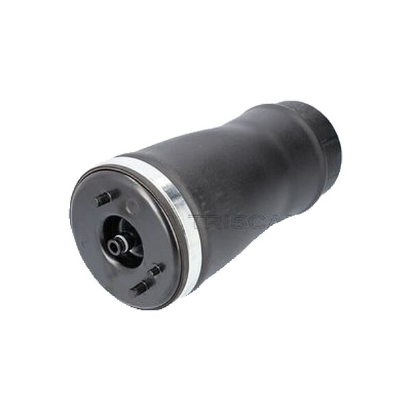 Air Spring Suspension TRISCAN Aftermarket-Expertise fits BMW X5