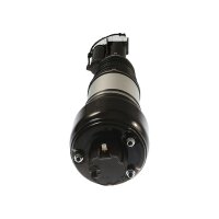 Air Suspension Strut TRISCAN IAM-Expertise suitable for e.g. MB C-CLASS