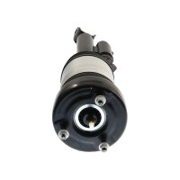 Air Suspension Strut TRISCAN IAM-Expertise suitable for...