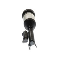 Air Suspension Strut TRISCAN IAM-Expertise suitable for e.g. MB C-CLASS