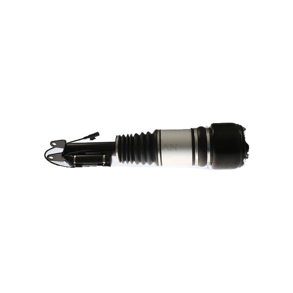 Air Suspension Strut TRISCAN IAM-Expertise suitable for e.g. MB E-CLASS