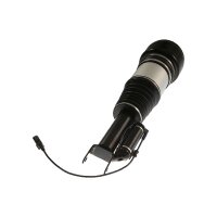 Air Suspension Strut TRISCAN IAM-Expertise suitable for e.g. MB E-CLASS