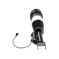 Air Suspension Strut TRISCAN IAM-Expertise suitable for e.g. MB E-CLASS