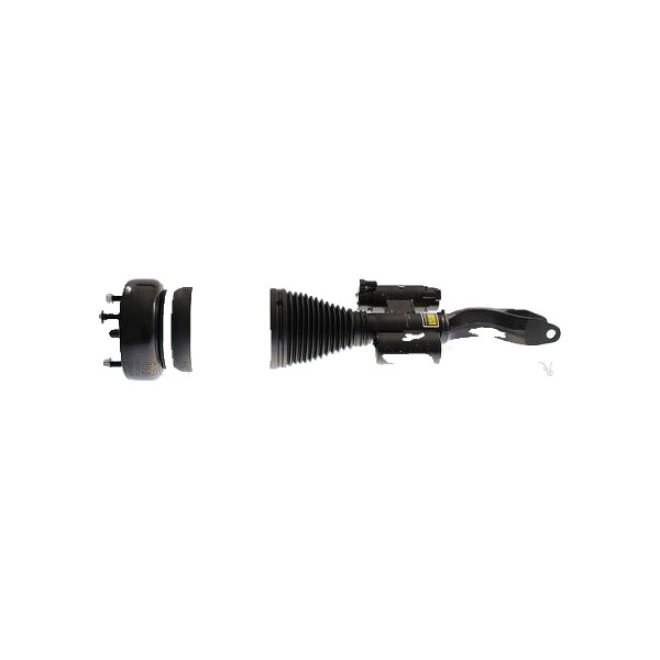 Air Suspension Strut TRISCAN IAM-Expertise suitable for e.g. MB C-CLASS