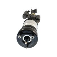 Air Suspension Strut TRISCAN IAM-Expertise suitable for...