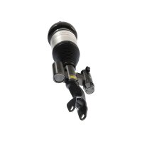 Air Suspension Strut TRISCAN IAM-Expertise suitable for e.g. MB C-CLASS
