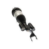 Air Suspension Strut TRISCAN IAM-Expertise suitable for...